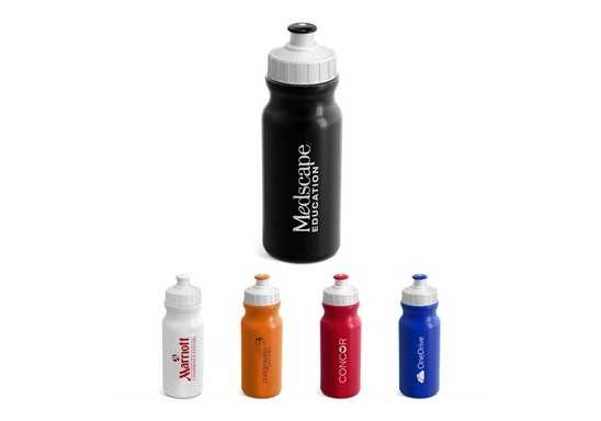 Carnival Water Bottle - 300ml