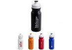 Carnival Water Bottle - 300Ml